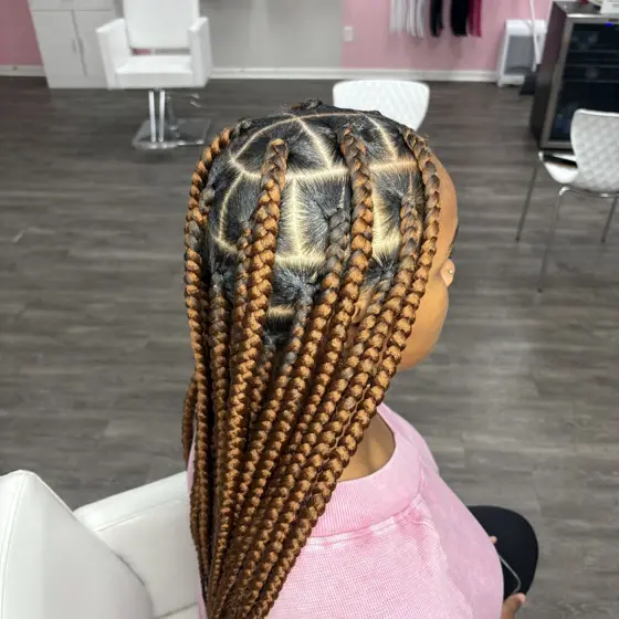 Jumbo knotless braided by Tiffany Joy