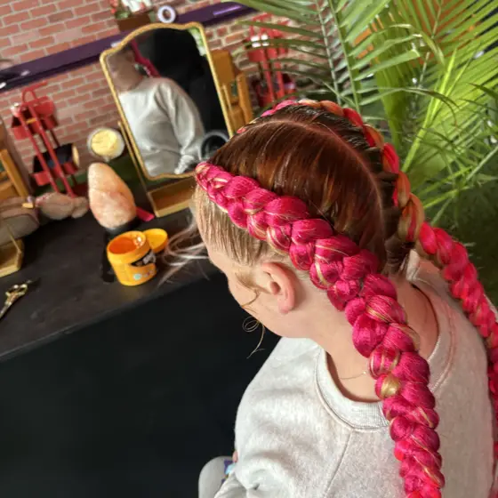 2 Dutch braids with color braided by Tiffany Joy