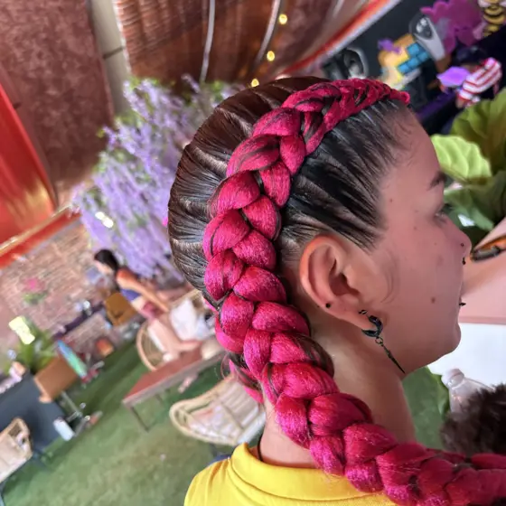 2 Dutch braids with color braided by Tiffany Joy